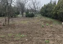 Teren 2.600 mp, utilități, Str. Merișor – Giurgiu