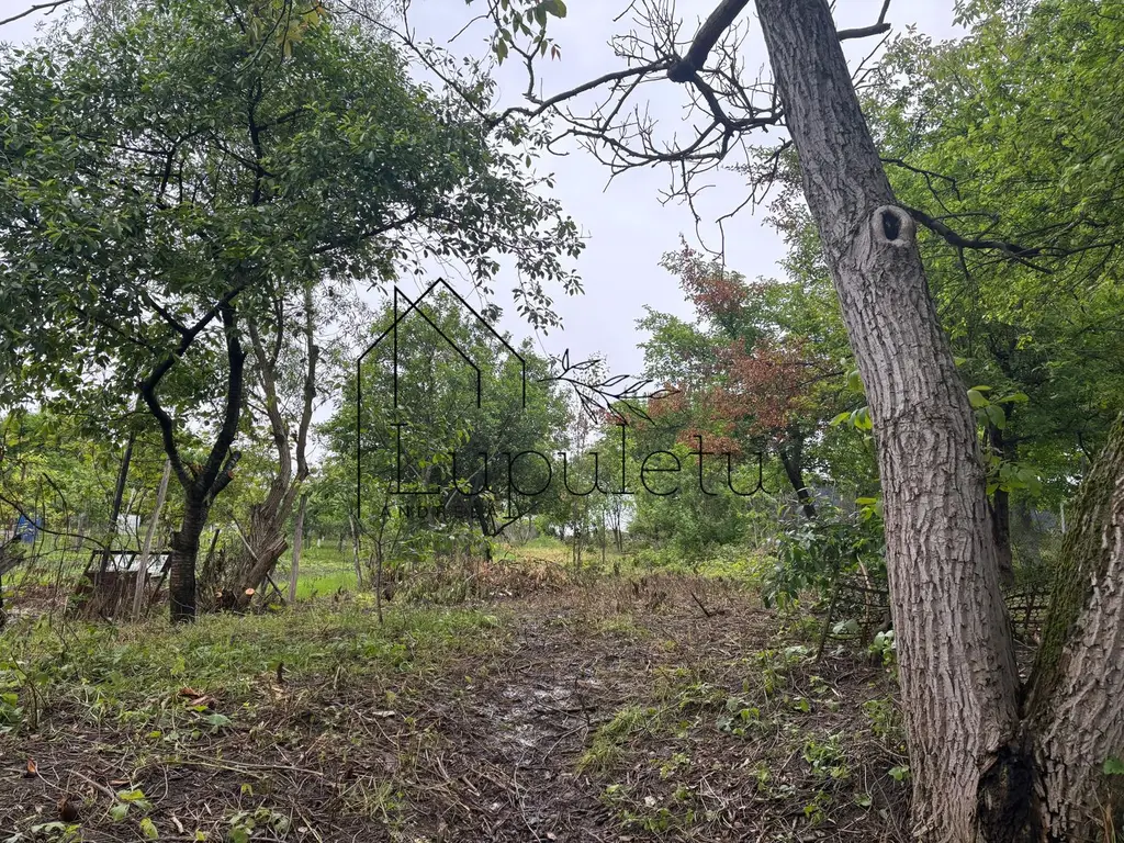 Casă de Vânzare în Bungard | 150 MPU | 2 Corpuri de Clădire