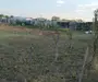 Vand teren intravilan Balta Blonda