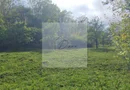 Teren intravilan Breaza de Sus I 4400 mp I toate utilitatile