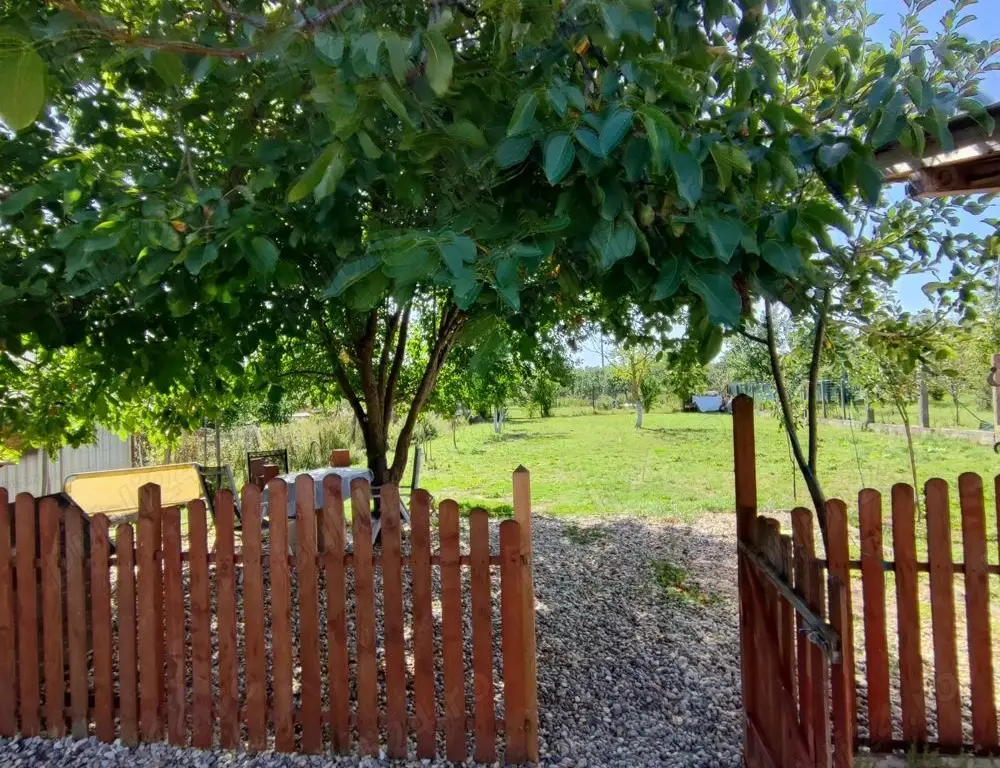 casă eco de lux de vânzare