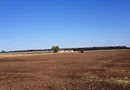 Teren intravilan de vânzare Brănești – DN3, deschidere 60 ml investie