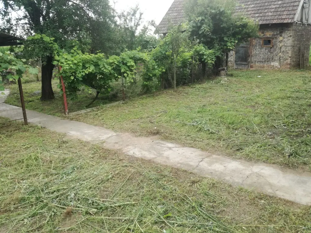 Ag BRASADAS vinde casa LOCUIBILA 3 cam teren 5.000 mp HOREA.