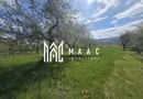 Teren 5400 mp superb cu livada si vedere spre munti Orlat