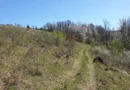 Teren cu panoramă fabuloasă, 10.059 mp, Roșia. 19.000 EUR. Comision 0