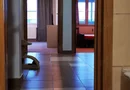 Piața berceni PROPRIETAR Spit bagdasar obregia