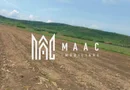 Teren | Extravilan | Oportunitate Investiție | 10 000 MP | Bradu