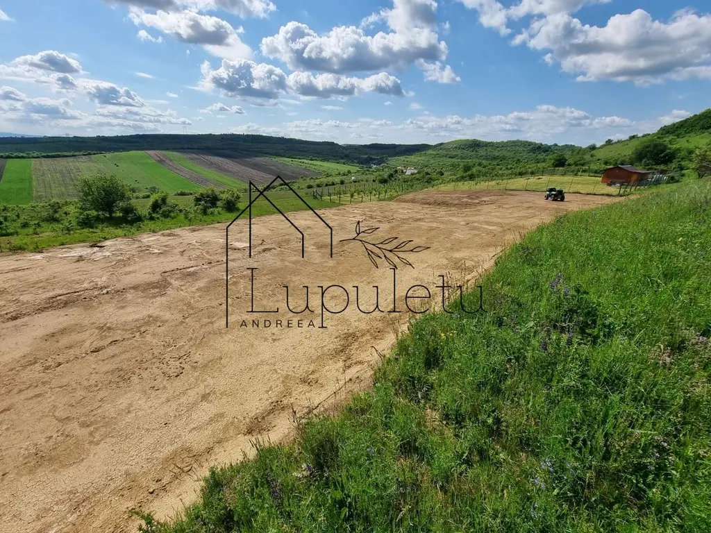 Teren Extravilan de Vânzare – 2.500 mp | Hamba | Zonă în Dezvoltare