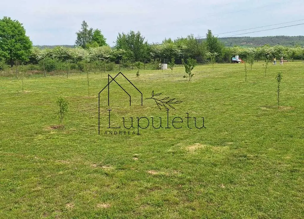 Teren Extravilan | 2.000 MPU | Intabulat | Zonă liniștită