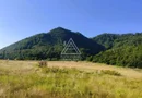 240 Hectare Pădure Valea Oltului Resurse Naturale Potențial Turistic