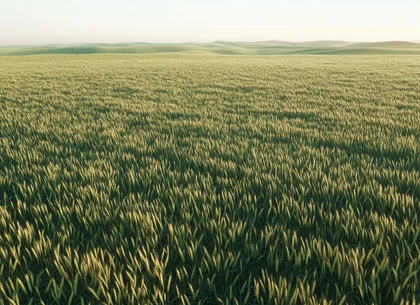 Fermă Agricolă Activă – 1.450 ha - Nord Est Romania