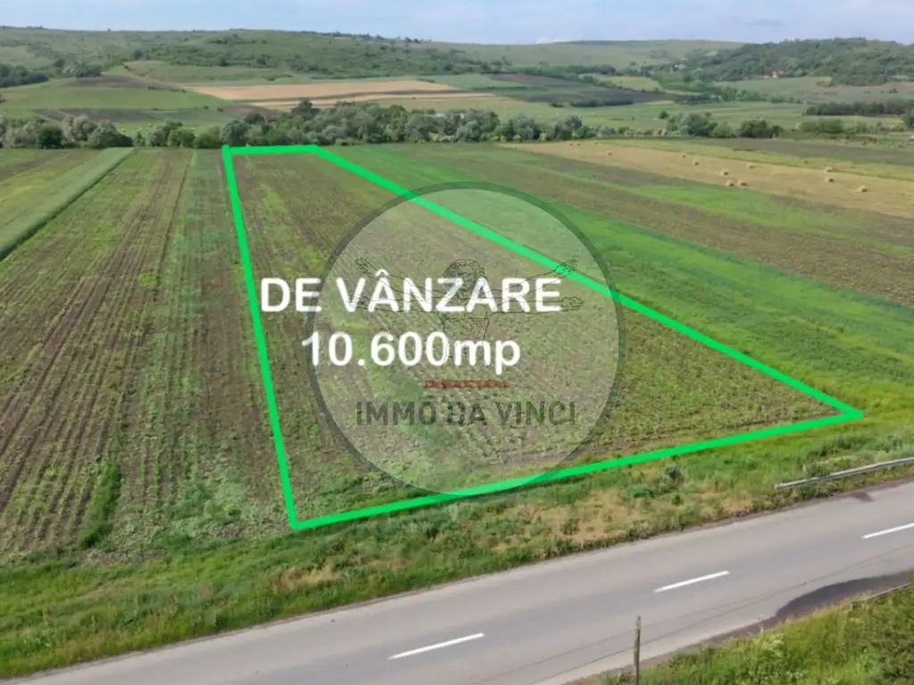 Teren 10.670 mp | Borșa Cluj | Front 38m | Utilități
