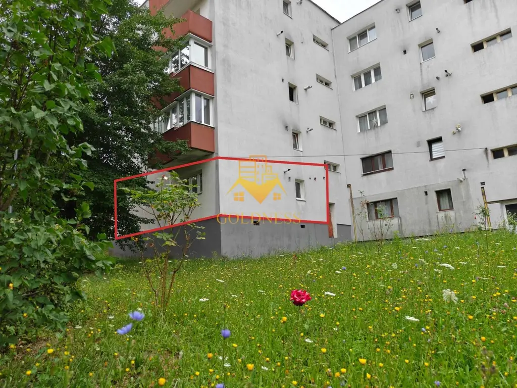 3 camere decomandate, Zorilor, UMF, UTCN, Gheorghe Dima