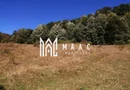 Teren Extravilan 20.000Mp I Stoenești -Vâlcea I Apă Curentă și Pădure