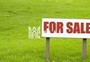 Teren intravilan | 20.000 MP | Parcelabil | Daia