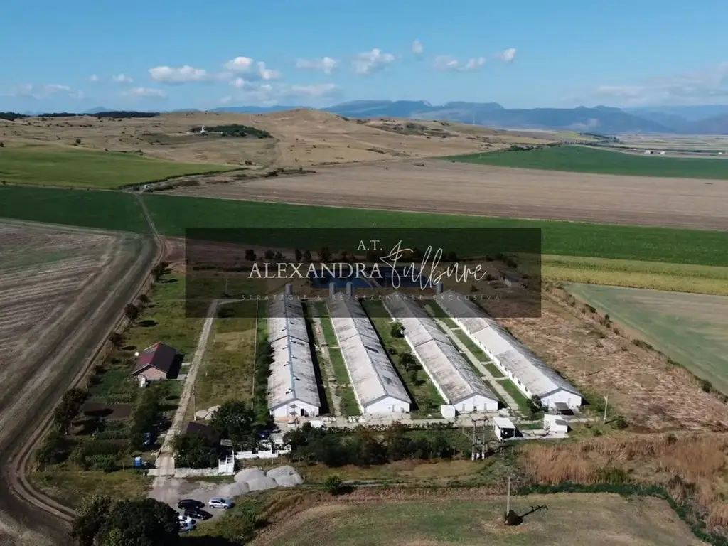 Ferma/ Hala industriala de vanzare, Bogata, Cluj