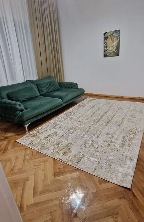 Ag BRASADAS vinde vila 8 camere Parcul Carol