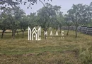 Casă 1 cameră de vânzare | Rădăcinești, Vâlcea | 5500 mp teren