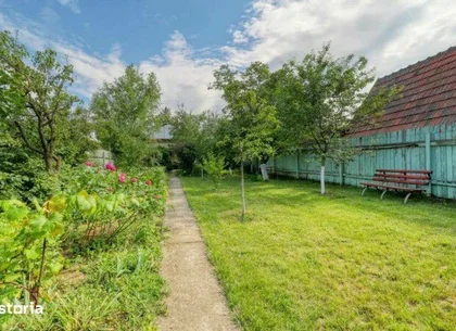 Proprietar - Casa Moara Vlasiei - Teren 1750mp
