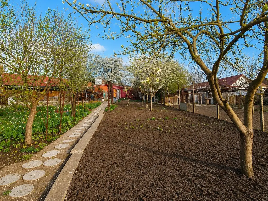 Casă individuală, teren generos de 1.348mp, poziție centrală, Giarmata
