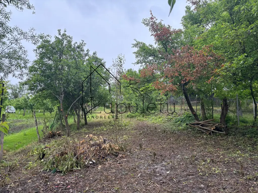 Casă de Vânzare în Bungard | 150 MPU | 2 Corpuri de Clădire
