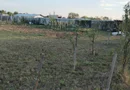 Vand teren intravilan Balta Blonda