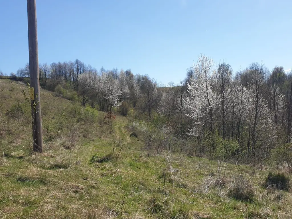 Teren cu panoramă fabuloasă, 10.059 mp, Roșia. 19.000 EUR. Comision 0