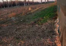 Ag BRASADAS vinde 500mp teren intravilan la SOSEA in Ganeasa