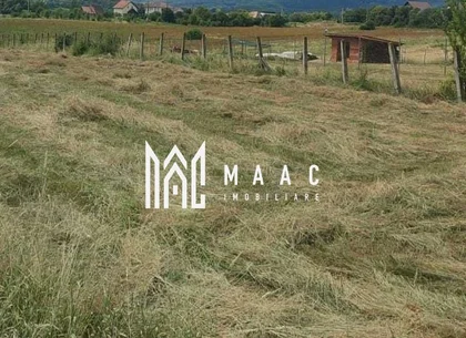 Teren 1250 mp I Intravilan I Zona Cisnadie
