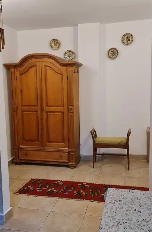 BRASADAS vinde ap 3 cam Careiului.