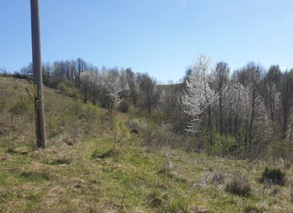 Teren cu panoramă fabuloasă, 10.059 mp, Roșia. 19.000 EUR. Comision 0