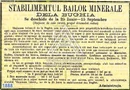 Teren 8 ha cu 15 izvoare minerale, lângă Câmpulung Argeș