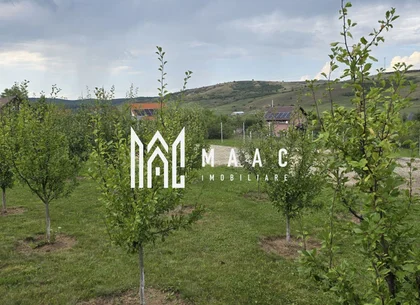 Teren Intravilan | 670 Mp | Daia