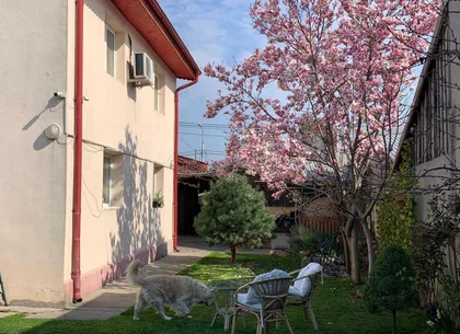 Vand  casa curte  + teren + SPATIU COMERCIAL