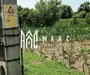 Vand teren intravilan | 1.638 mp | Bungard