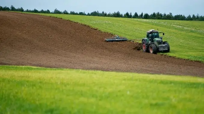 Teren agricol comasat- 260ha- jud Satu Mare- 10500 euro/ha- comision 0