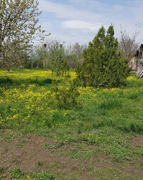 Teren 2.600 mp, utilități, Str. Merișor – Giurgiu