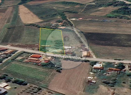 Casă tradițională cu teren generos de 3.529 mp – Borșa, jud. Cluj