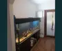 BRASADAS vinde ap 3 cam PARTER 75mp zona POARTA 6.
