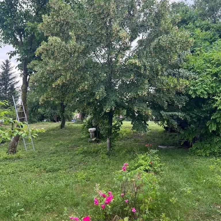 ofer spre vanzare teren pe malul lacului Snagov si vila S+P+E+M