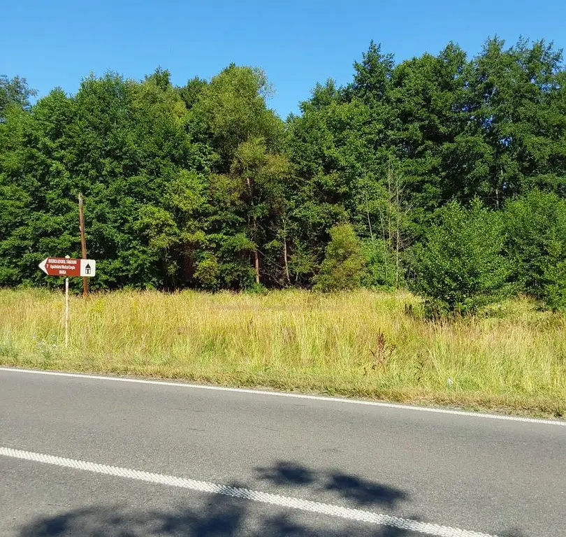 TEREN INTRAVILAN ÎN MARGA-LA DN68 JUD.CARAȘ-SEVERIN