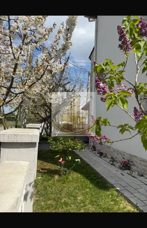 Duplex Spațios, 135mp | 4 Camere | | Zonă Kaufland | Dumbravita