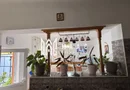 Casa individuala 4 camere I Acces auto I Teren 480mp I Blaj