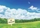 Teren intravilan | 20.000 MP | Parcelabil | Daia