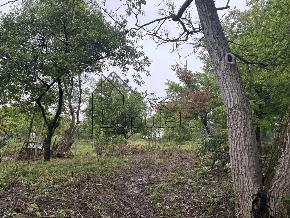 Casă de Vânzare în Bungard | 150 MPU | 2 Corpuri de Clădire