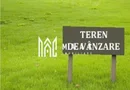 Teren extravilan | 12.300 mp | Zona Dedeman