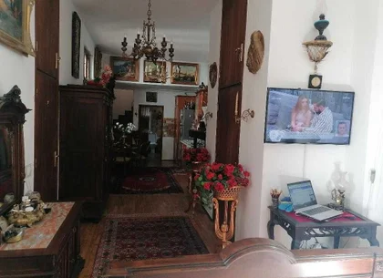 COTROCENI - Cuibușorul de nebunii al pictorului Zamfir DUMITRESCU