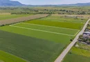 Teren 9.300 mp Stupini | Front 45.59 m la Asfalt | PUG Zonă L1c
