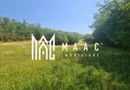 Teren | 12.922 MP | Loamneș