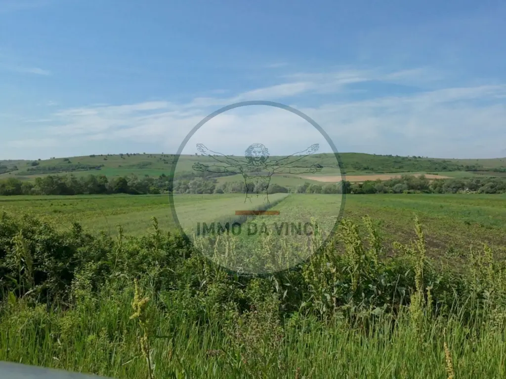 Teren 10.670 mp | Borșa Cluj | Front 38m | Utilități